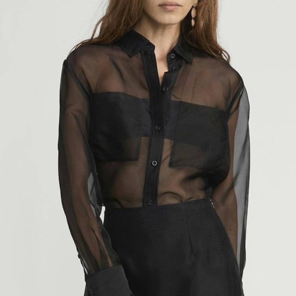 Frame Denim Black Sheer Dress